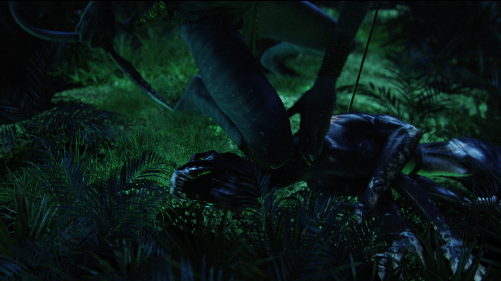 Photo from Avatar Film